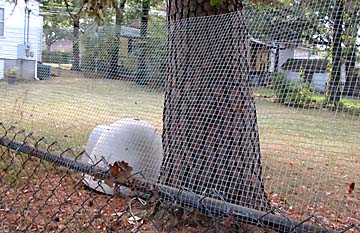 How to Make Chain Link Fence Taller