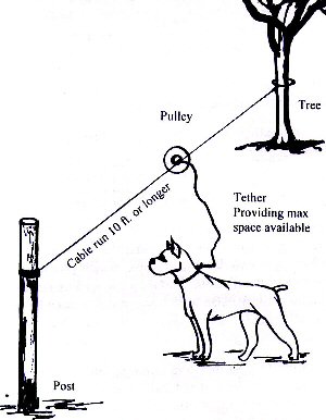 trolley%20diagram.jpg